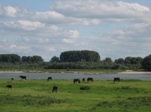 Sonntag an der Waal Sonntag an der Waal